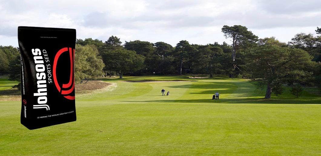 Quality Seed Mixtures